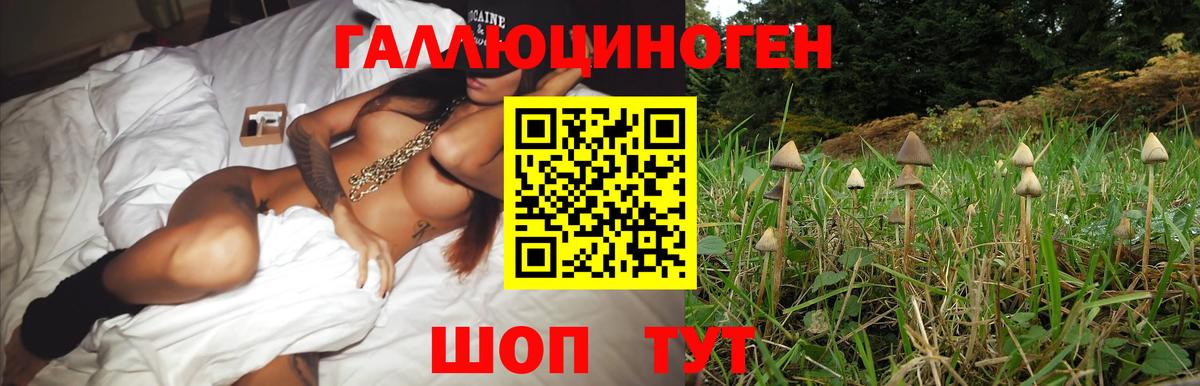 Алексеевка  Псилоцибиновые грибы мухоморы  Вход с VPN 