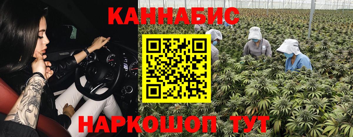 Канабис конопля  Шишки марихуана AK-47  Каннабис Ganja  Вход с VPN  Алексеевка 